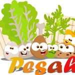 Thumbnail image for Are Passover and Pesach the Same Holiday?